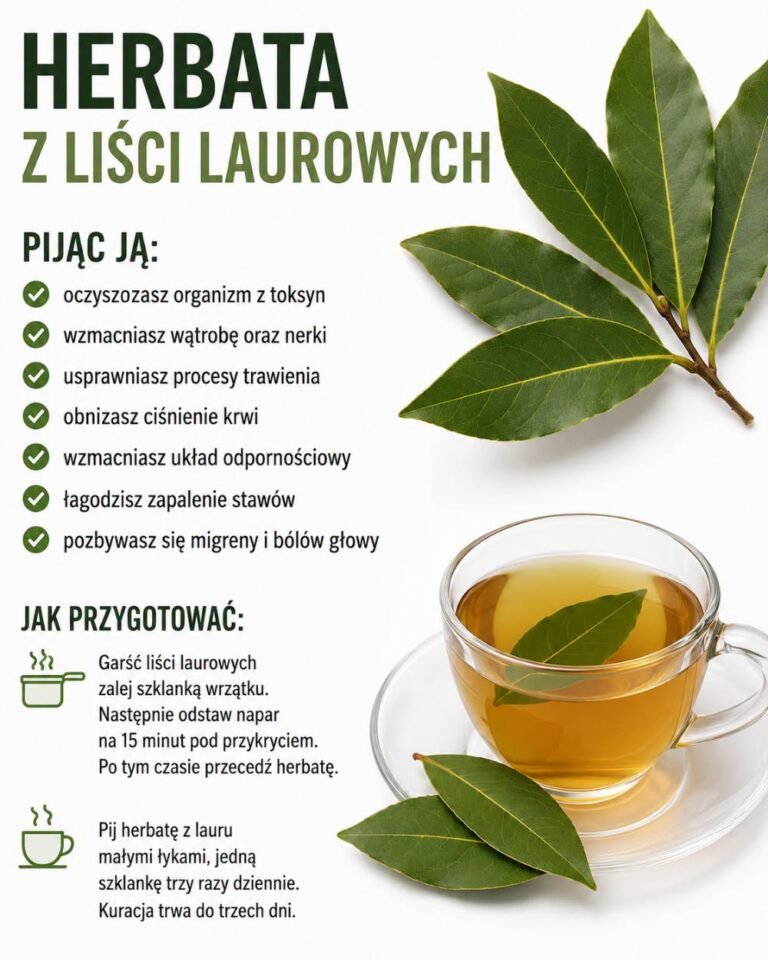 HERBATA Z LIŚCI LAUROWYCH