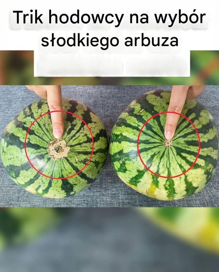 Koniec z mdłymi arbuzami! Oto niezawodny wizualny szczegół, dzięki któremu dowiesz się, jak zdobyć najsłodsze owoce na targu.