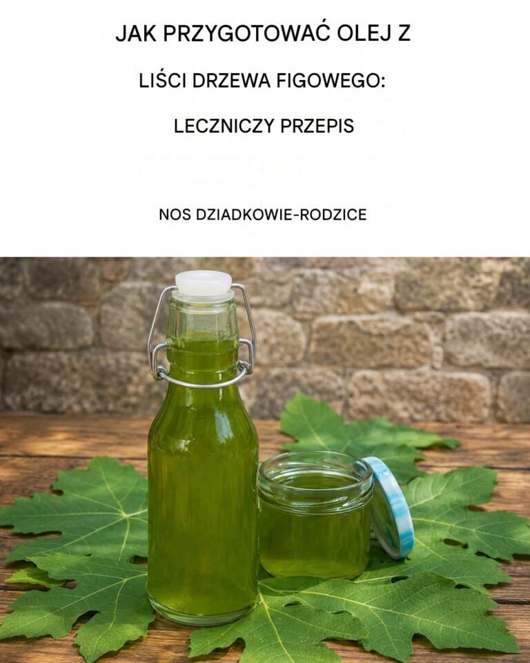 Olejek z liści figowych: uzdrawiająca receptura naszych dziadków
