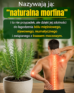 Molfina Natural Rosemary: Ulgę w bólu, reumatyzmie i dnie moczanowej