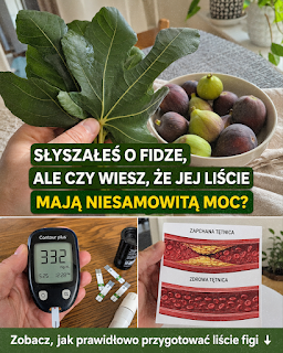 Korzyści z liści figowych: 8 zaskakujących zastosowań dla zdrowia