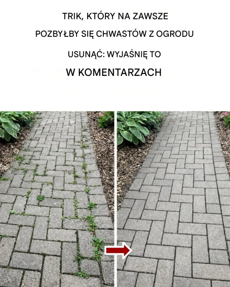 Jak pozbyć się chwastów naturalnie i trwale